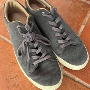 Tom’s grey suede sneakers